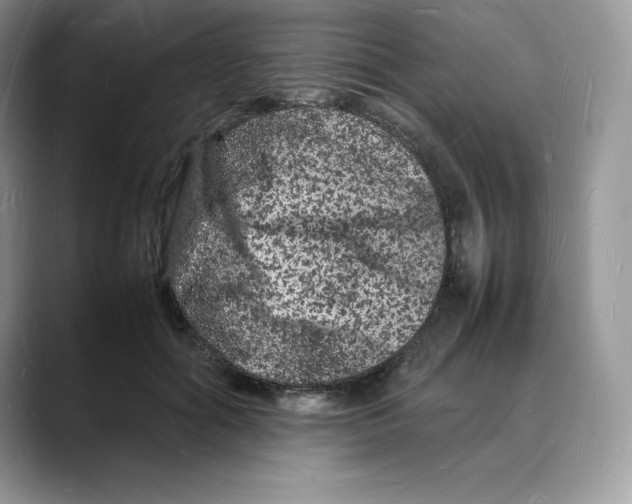 X0000088030602200706081503