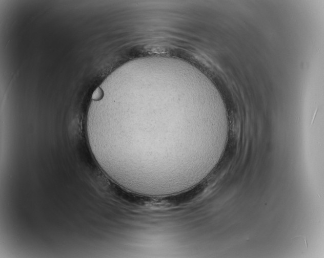 X0000088030603200706081503