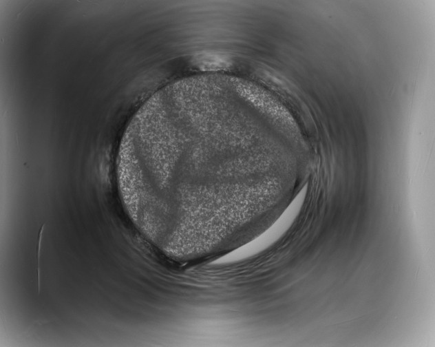 X0000088030604200706081503