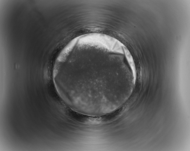 X0000088030606200706081503