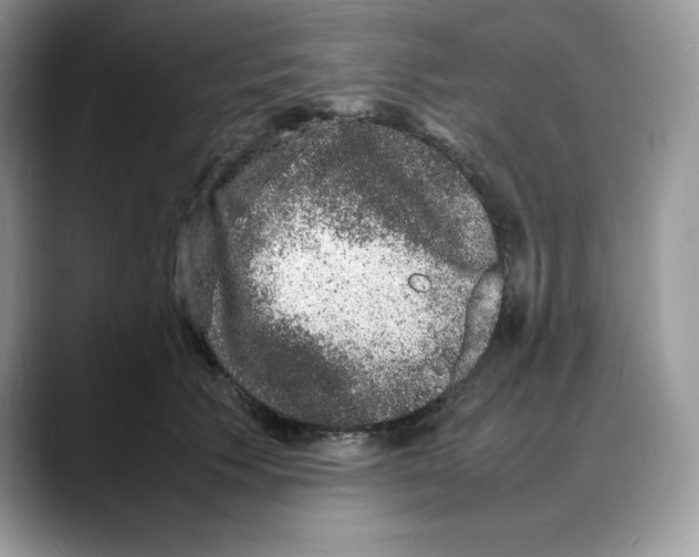X0000088030609200706081503