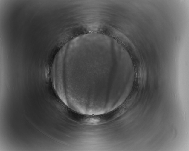 X0000088030610200706081503