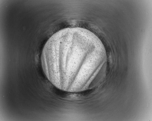 X0000088030611200706081503