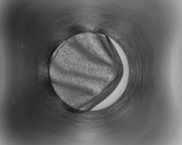 X0000088030613200706081503