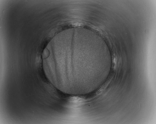 X0000088030614200706081503