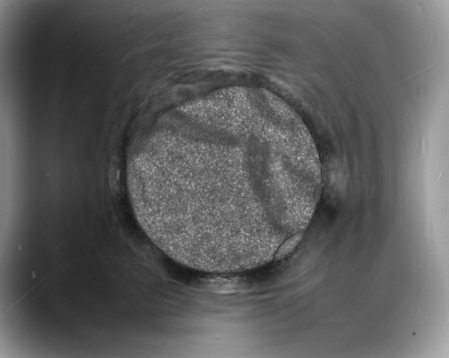 X0000088030615200706081503