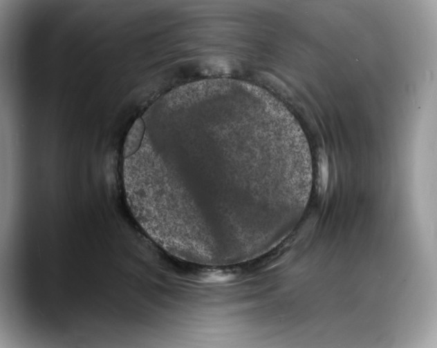 X0000088030616200706081503
