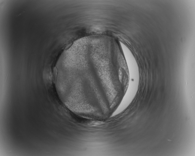X0000088030617200706081503