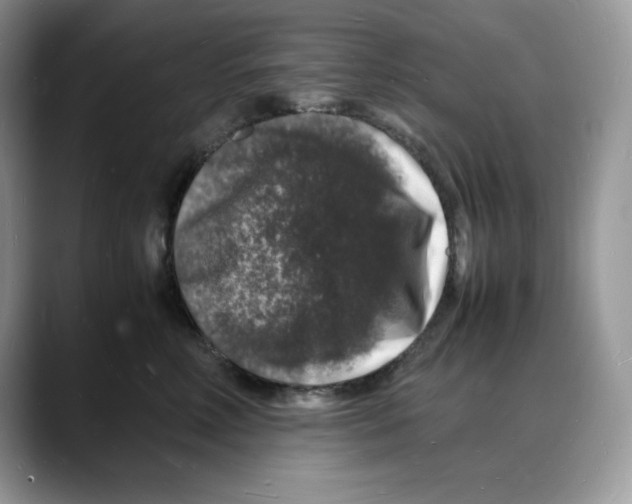 X0000088030618200706081503