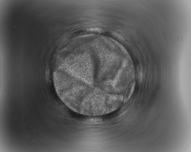 X0000088030619200706081503