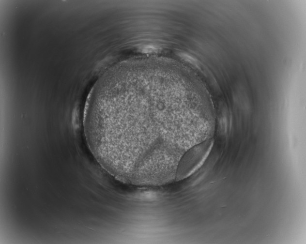 X0000088030620200706081503