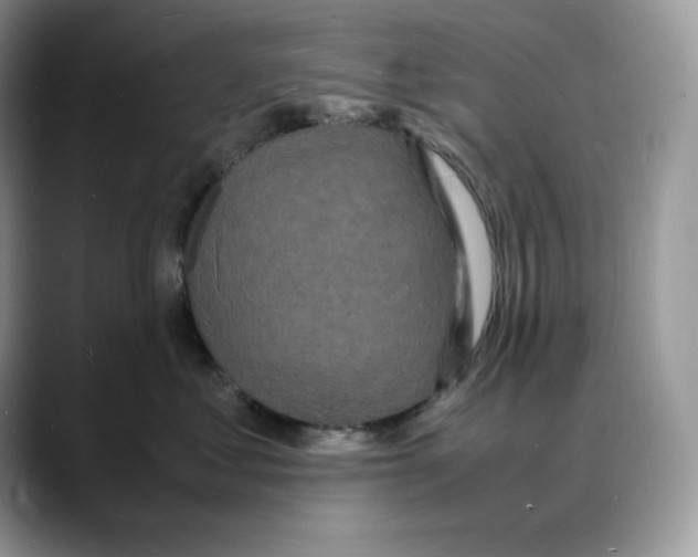 X0000088030621200706081503