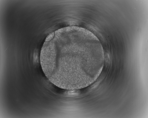 X0000088030622200706081503