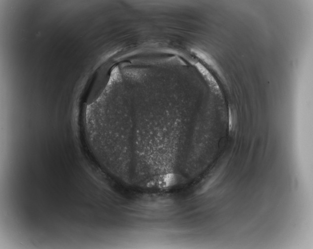 X0000088030627200706081502