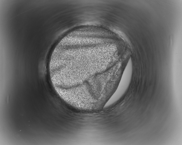X0000088030628200706081502