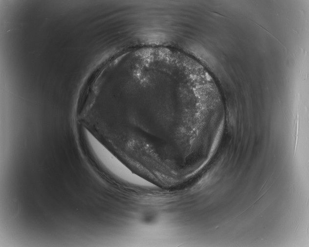 X0000088030630200706081502