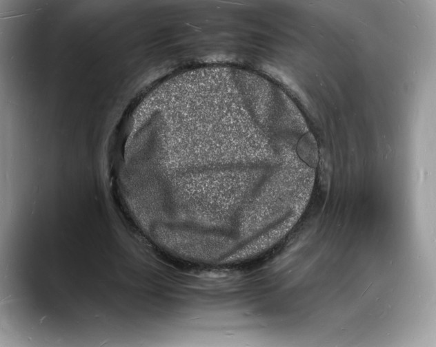 X0000088030631200706081502