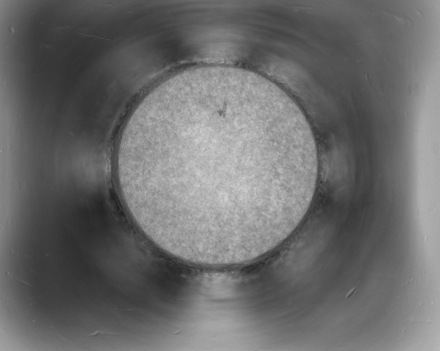 X0000088030632200706081502