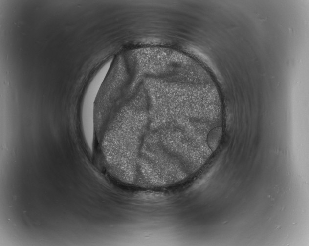 X0000088030633200706081502