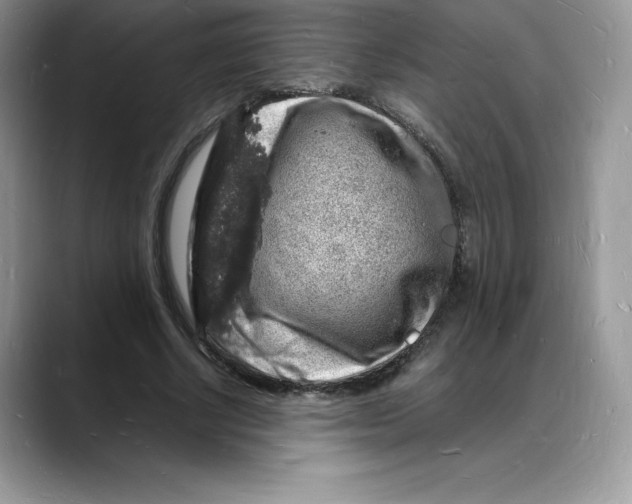 X0000088030634200706081502
