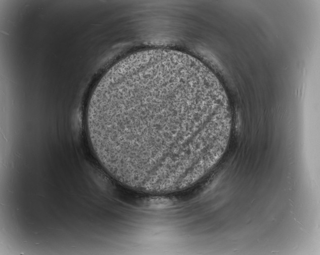 X0000088030636200706081502
