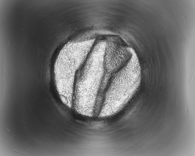 X0000088030638200706081502
