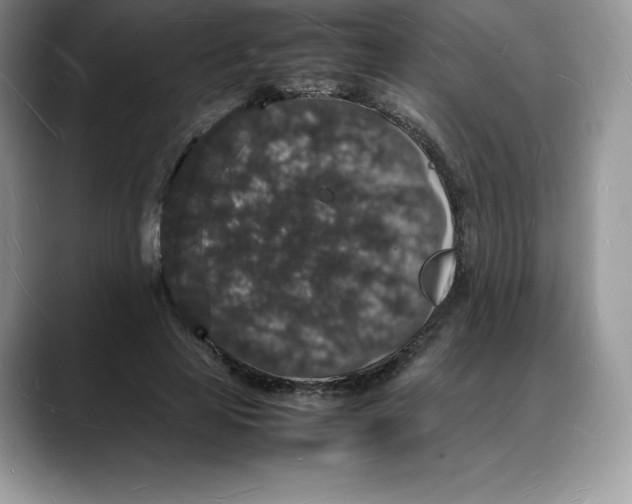 X0000088030641200706081502