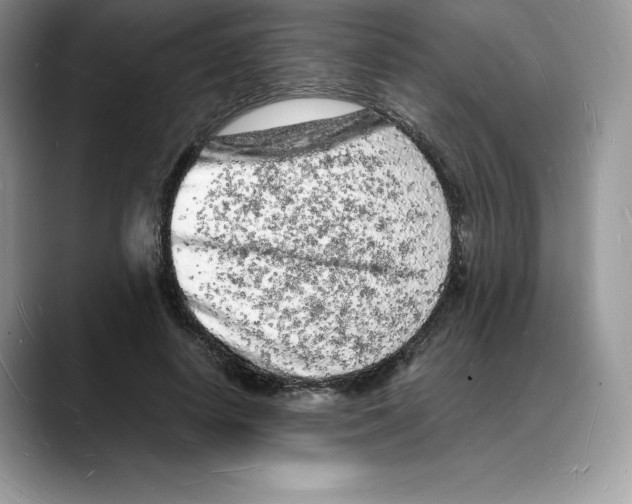 X0000088030642200706081502