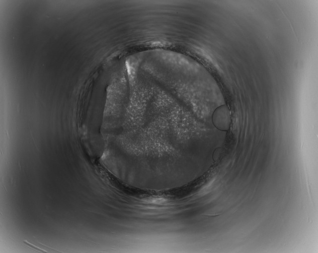X0000088030643200706081502