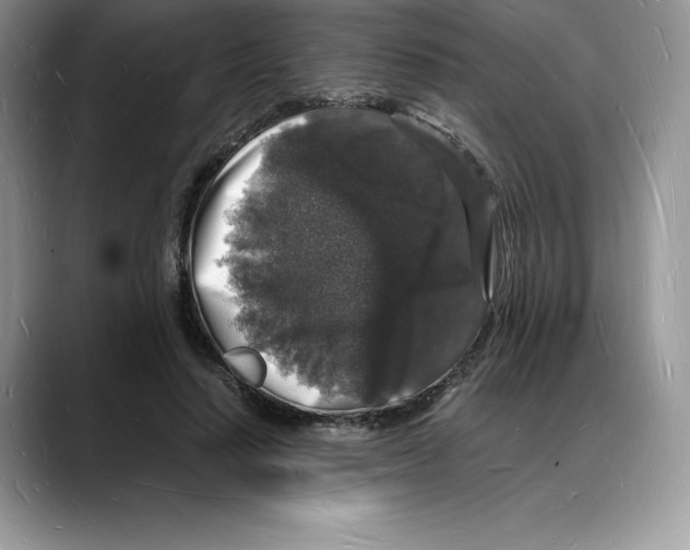 X0000088030644200706081502