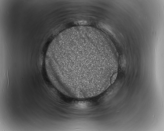 X0000088030645200706081502