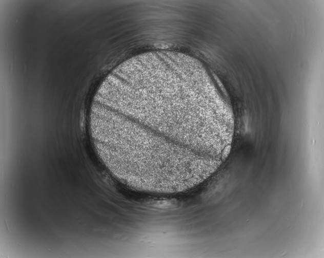 X0000088030646200706081502