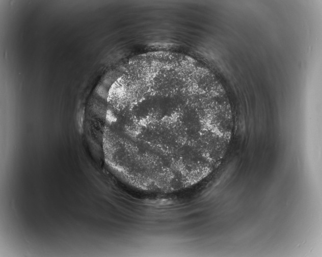 X0000088030647200706081502