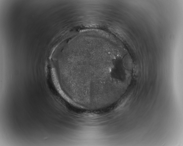 X0000088030648200706081502