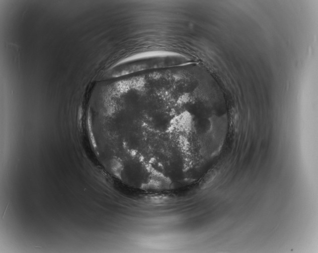 X0000088030650200706081502