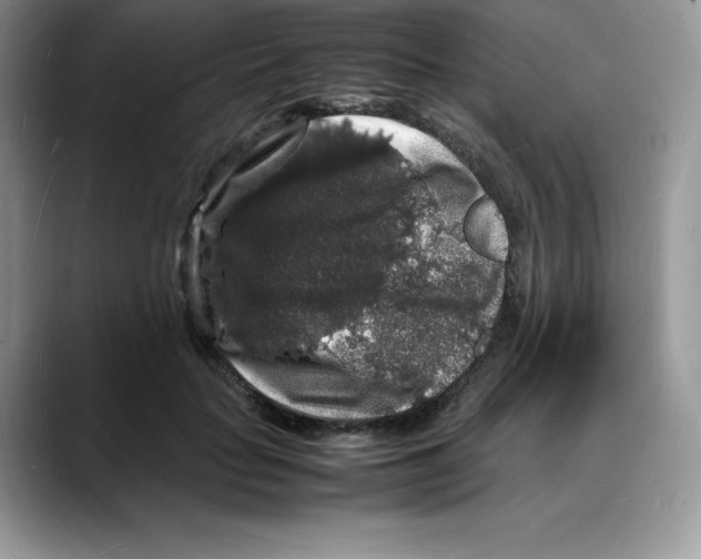 X0000088030653200706081502