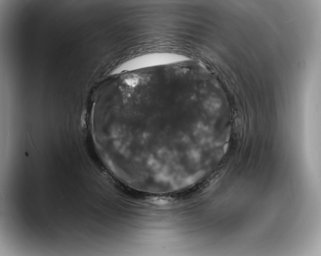 X0000088030654200706081502
