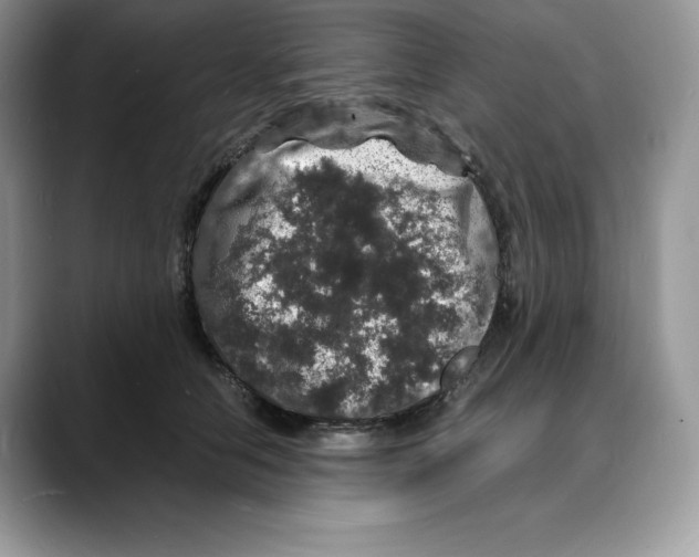 X0000088030658200706081502