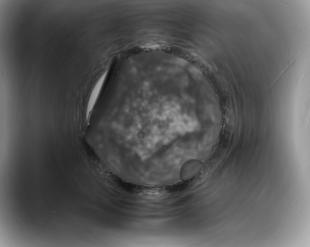 X0000088030659200706081502