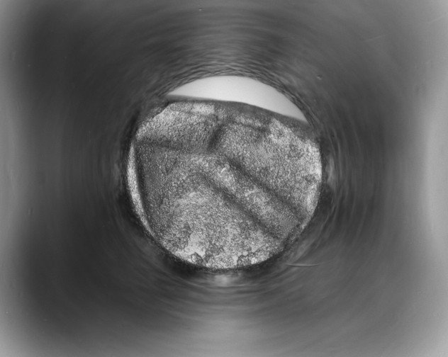 X0000088030662200706081502