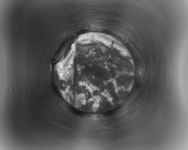 X0000088030663200706081502
