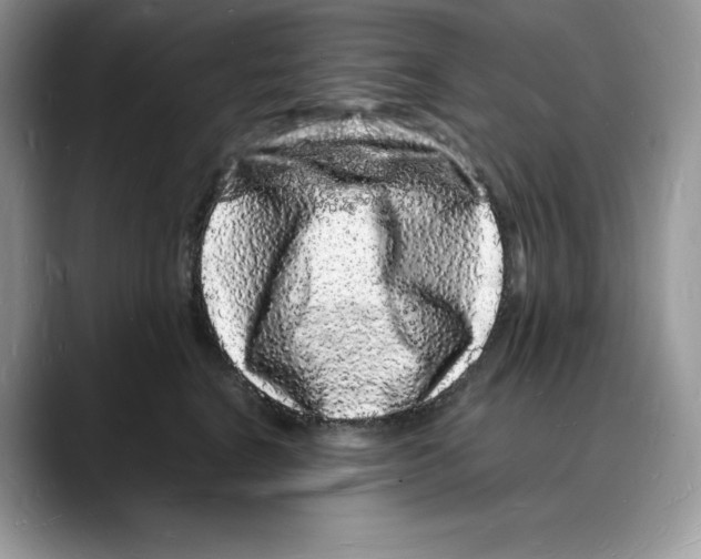 X0000088030664200706081502