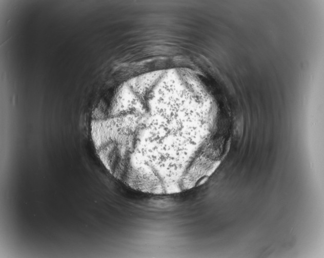 X0000088030666200706081502