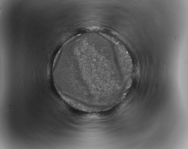 X0000088030668200706081502