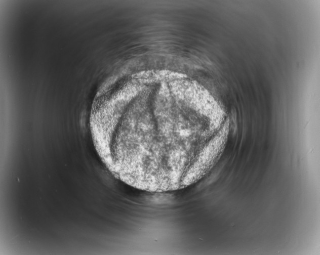 X0000088030670200706081502