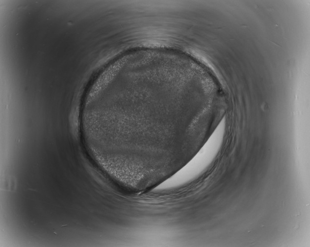 X0000088030677200706081502