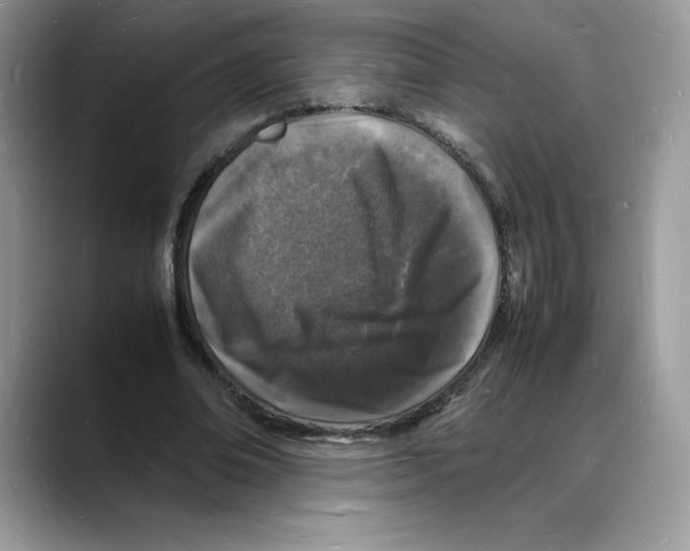 X0000088030678200706081502