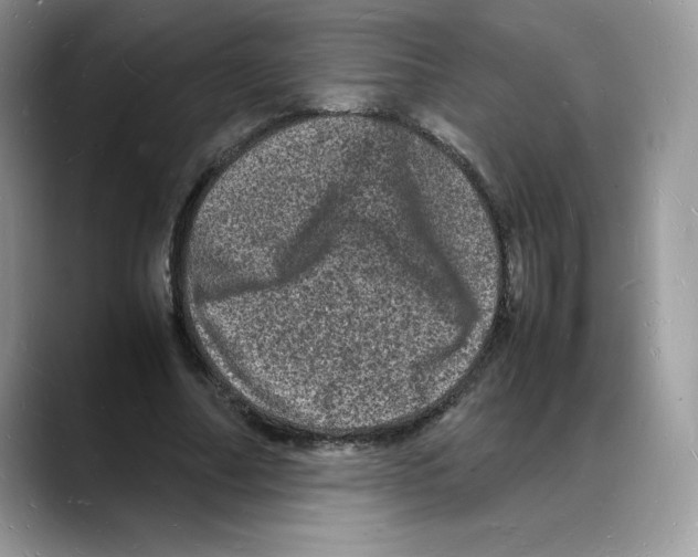 X0000088030682200706081502