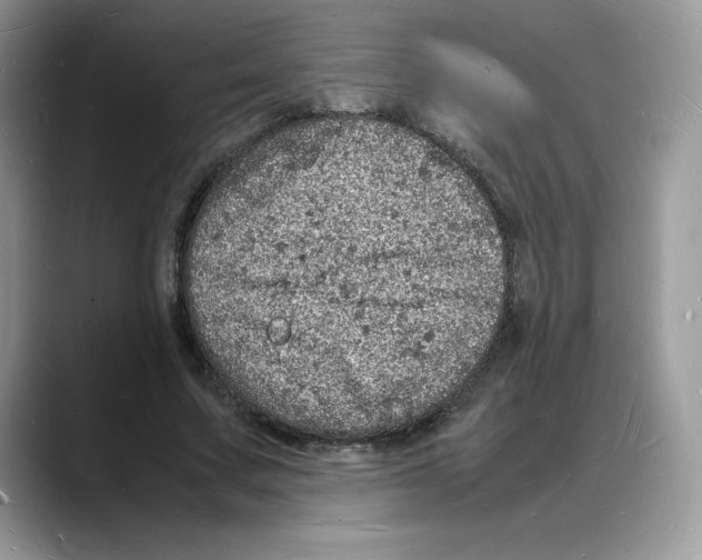 X0000088030683200706081502