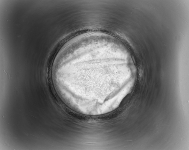X0000088030684200706081502